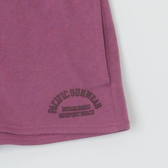 Pacsun Womens Logo Pullon Sweat Shorts Size XS Drawstring Loungewear Casual - Picture 3 of 7